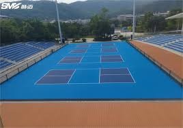 上港队客场对阵柔佛，面临阵容不整、实力不足的挑战，目标为平局。